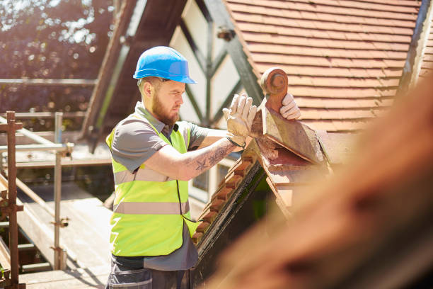 Best Flat Roof Repair Services  in South Henderson, NC